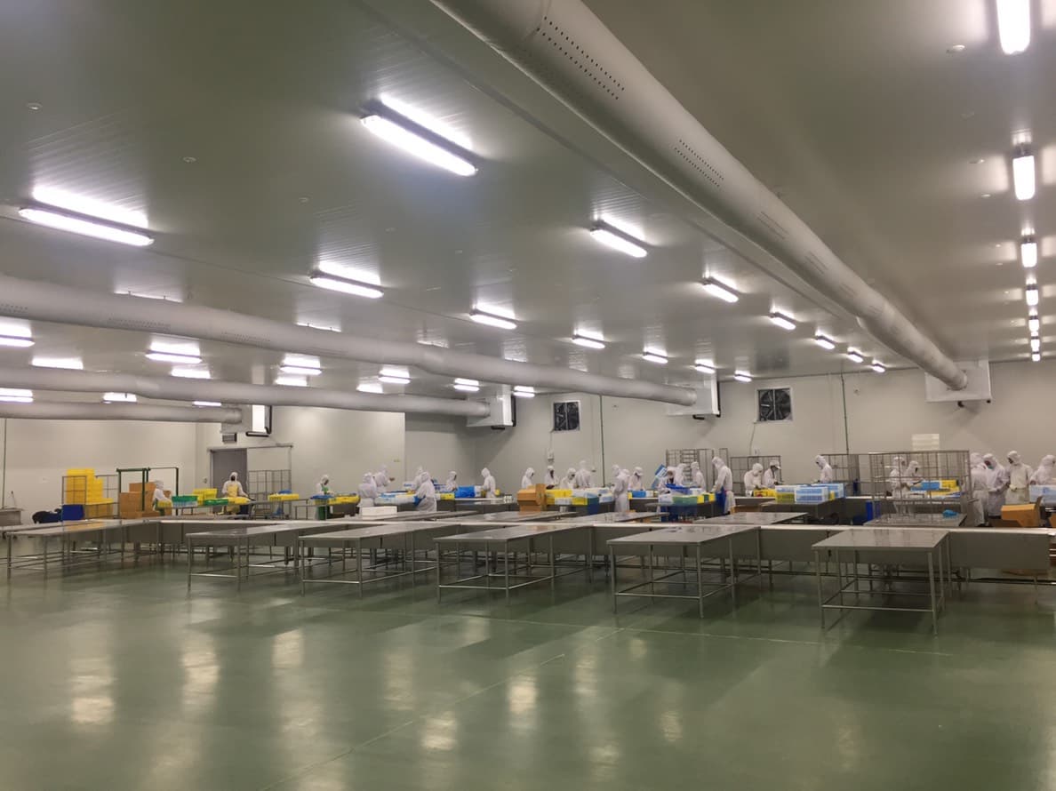ห้องไลน์ผลิต Processing Room ควบคุมอุณหภูมิสำหรับพนักงาน